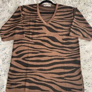 Zara Brown and Black Zebra Print Mini Dress